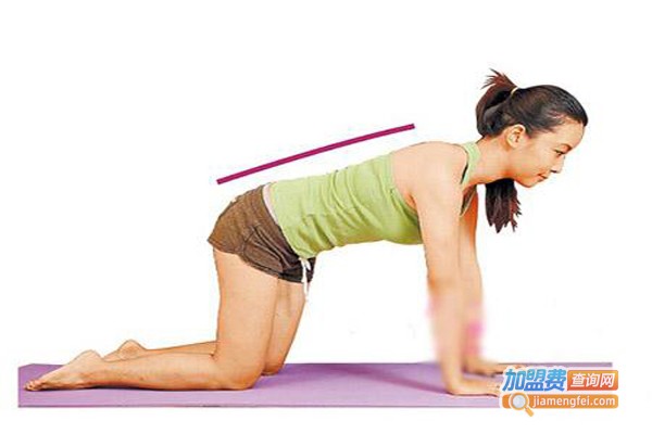 瘦心堂减肥加盟费