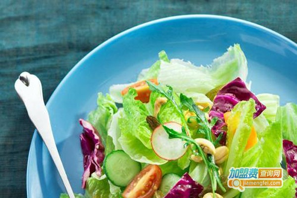 芽果沙拉加盟费