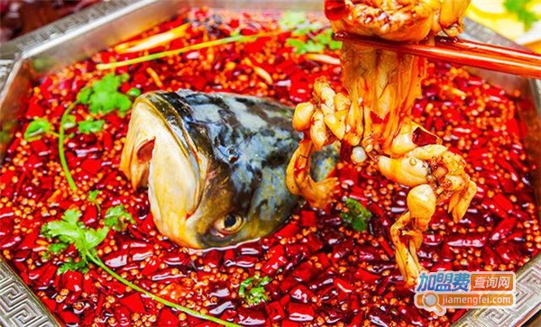 鱼头火锅加盟连锁