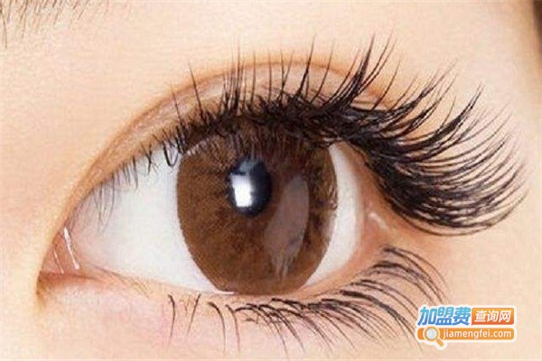 韩式美睫加盟费