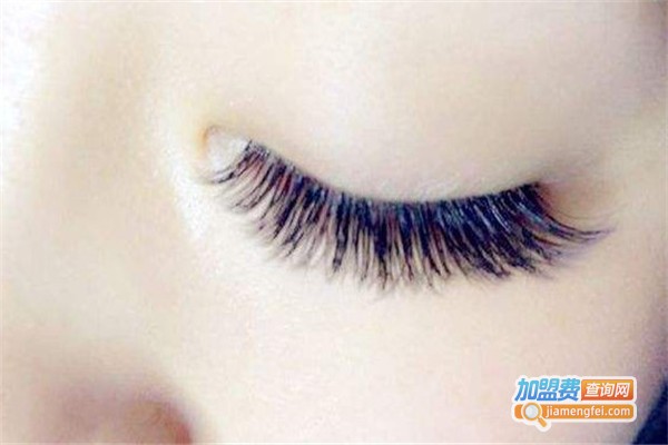 韩式美睫加盟费