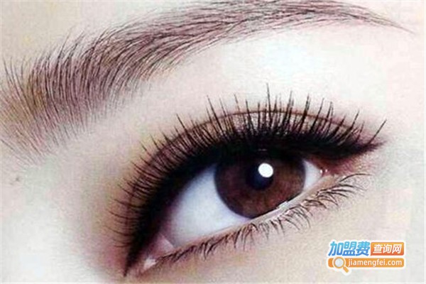 韩式美睫加盟费