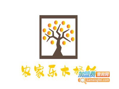 农家乐木桶饭加盟费