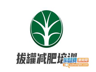 拔罐减肥培训