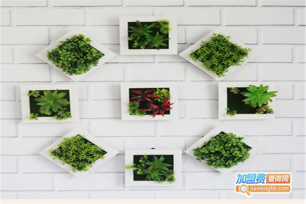 3d立体墙饰加盟费