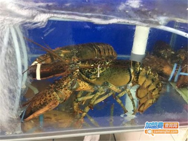 鹏旎海鲜加盟
