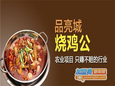 品亮城烧鸡公