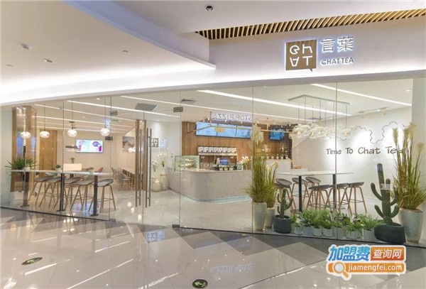 言叶chattea加盟费