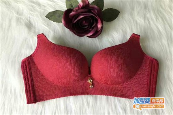 【天衣坊品牌内衣加盟】加盟天衣坊品牌内衣努力争当富人！