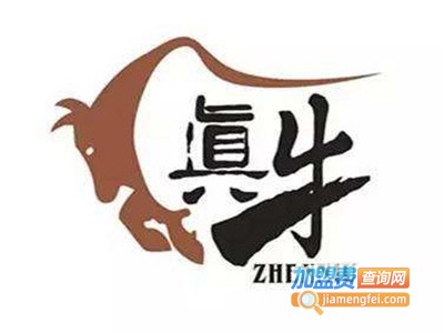 真牛铁板饭加盟费