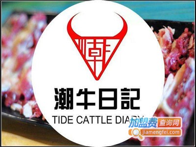 潮牛日记潮汕牛肉火锅