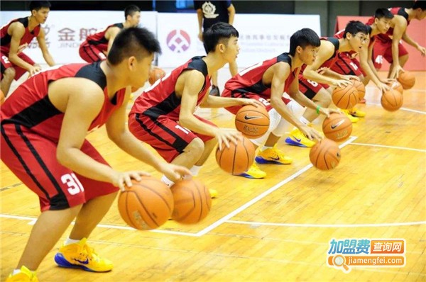 少儿篮球俱乐部加盟费