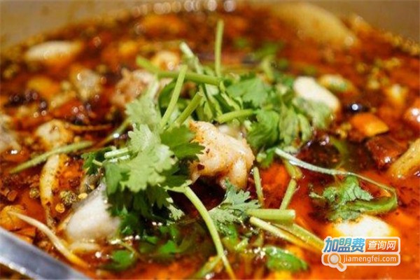 鱼爱上鱼加盟费