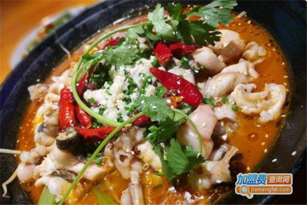 鱼爱上鱼加盟费