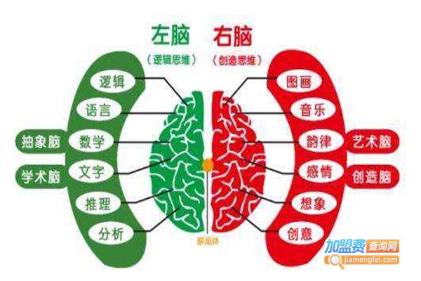 专注力培训班加盟费