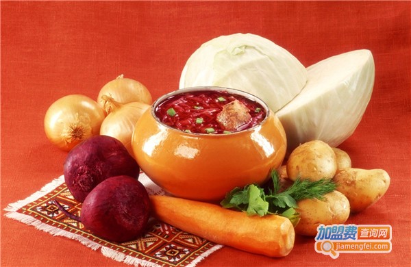 美丽元素加盟费