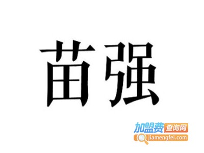 苗强牛肉汤加盟费