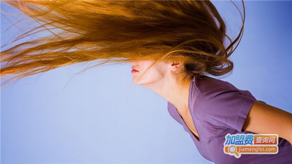 本逸养发加盟费