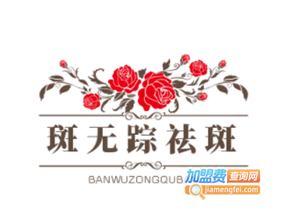 斑无踪祛斑加盟费