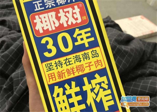 椰树牌椰子汁加盟费