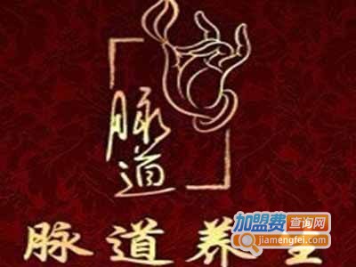 脉道经络养生