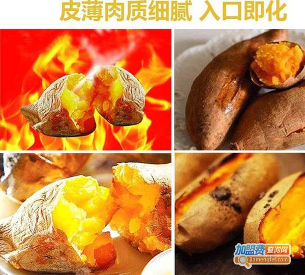 甜薯君烤地瓜加盟费