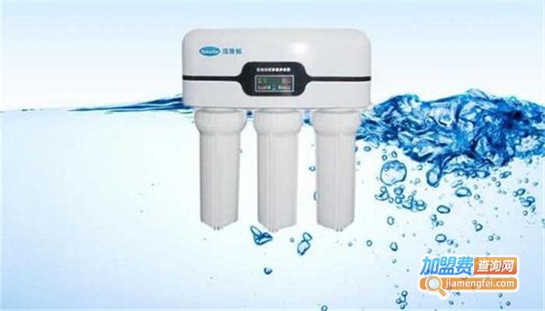 爱佳尔中央净水器