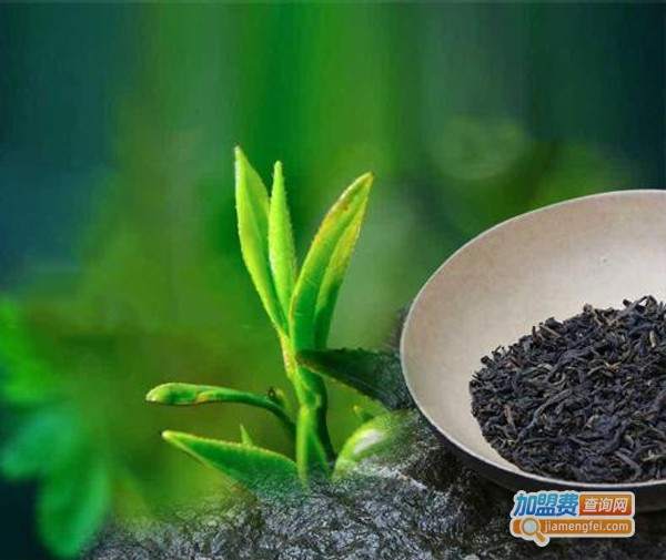 白沙溪茶加盟费