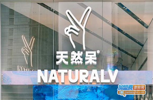 天然呆奶茶加盟费