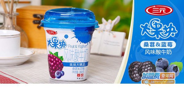 三元乳业加盟费