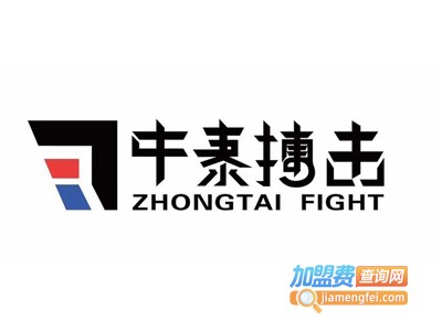 中泰搏击