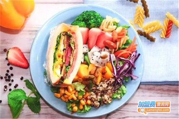 纤维轻食连锁加盟费