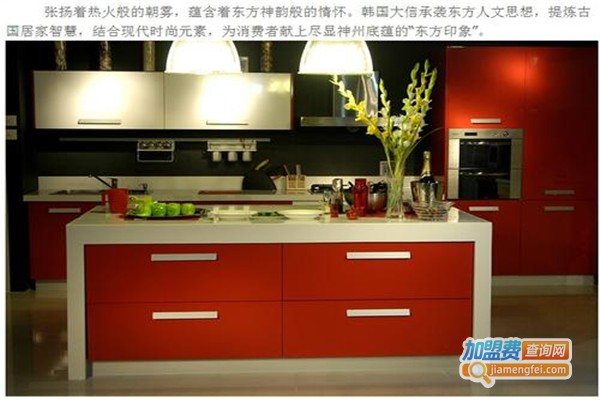 大信整体厨房加盟费