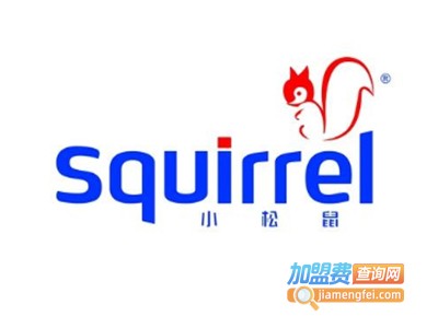 小松鼠燃气壁挂炉