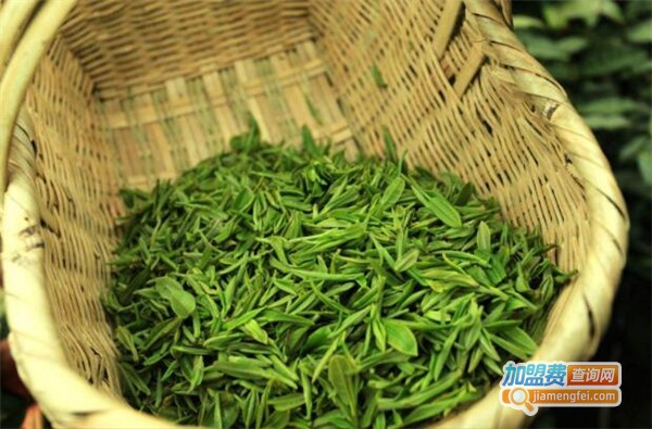 文新信阳毛尖加盟