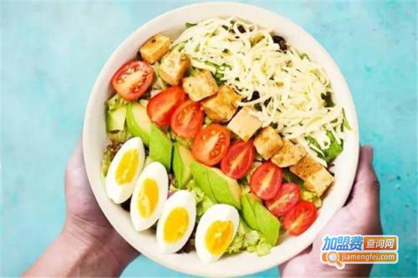 absolutely轻食加盟费