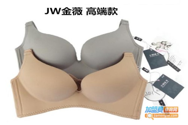 金薇文胸加盟_加盟金薇文胸，开启致富门！
