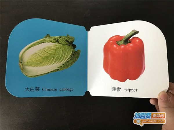 灵童识字加盟费