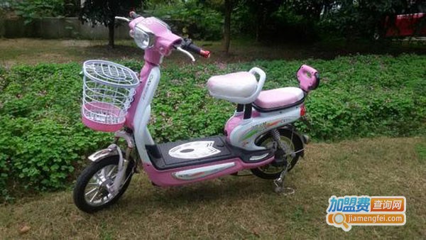 鸿琪福电动车加盟费