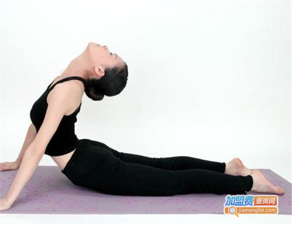 金凤凰瑜伽加盟