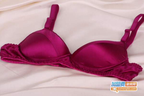 芬蒂雅内衣加盟费