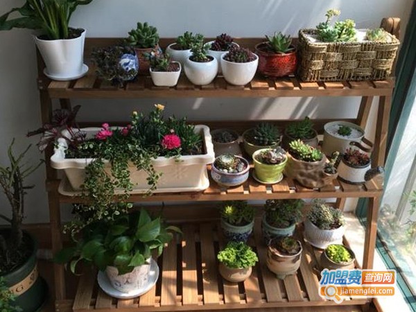 宜家环保加盟费