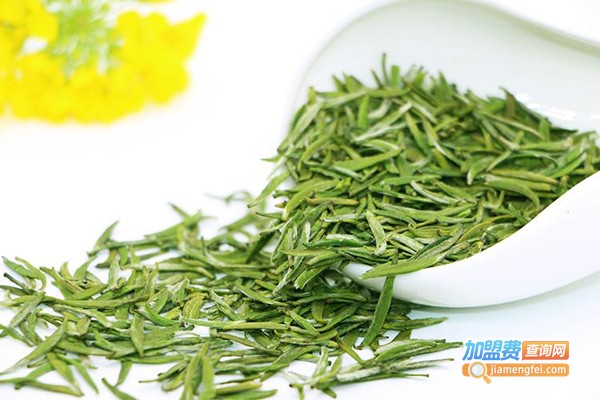 午子绿茶加盟费