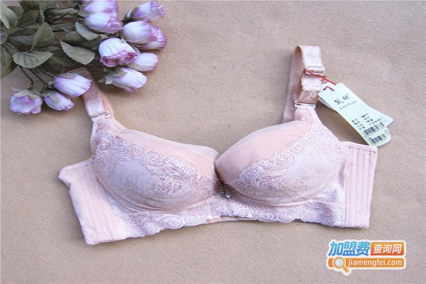 筑妍内衣加盟费