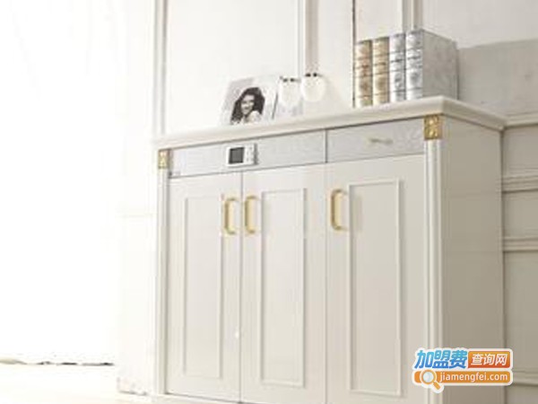 金喜雅电子鞋柜加盟费