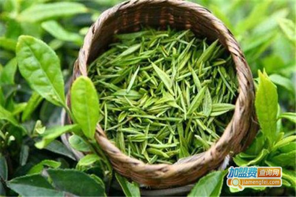 午子绿茶加盟费