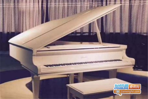 佳艺琴行加盟费