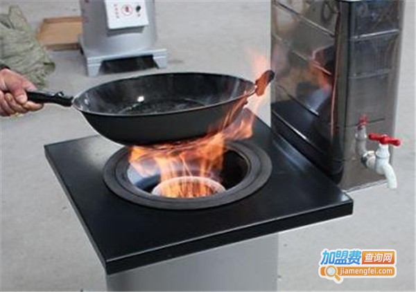 奥格美生物气化炉