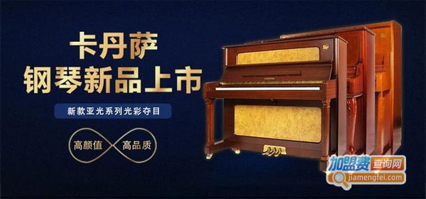 卡丹萨钢琴教育加盟费
