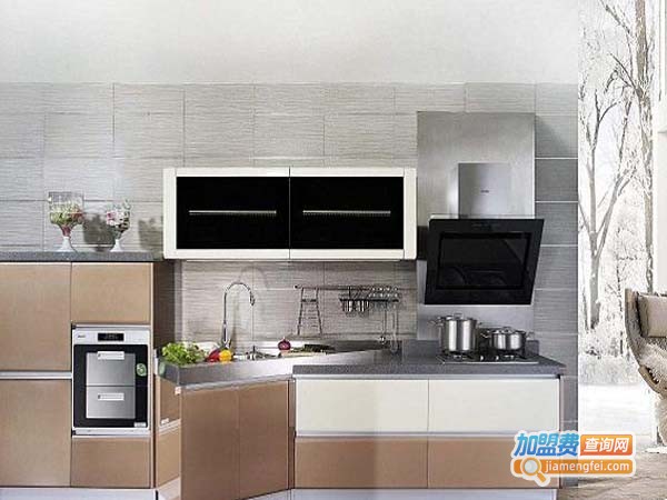 佳居乐橱柜加盟